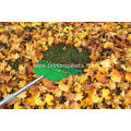 Adjustable Folding Leaves Rake for Quick Clean Up of Lawn and Yard